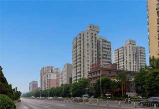 大型门户网站建设陕西网站建设